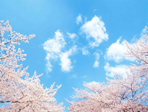 除（chú）塵器換布袋91看片更專（zhuān）業