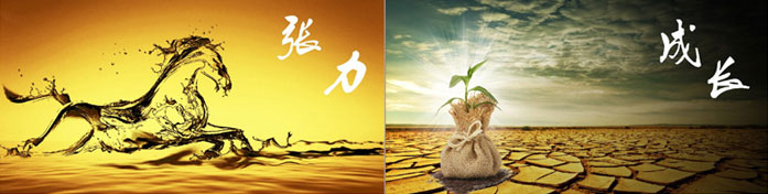 企業發(fā)展要學(xué)會取他人之長、補自己(jǐ)之短 企業發展要學會取他人(rén)之長、補自(zì)己之短